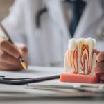 根管治療について説明する歯科医師